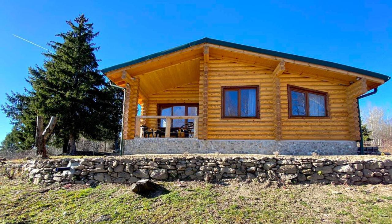 Вила Брезите Pamporovo Bagian luar foto