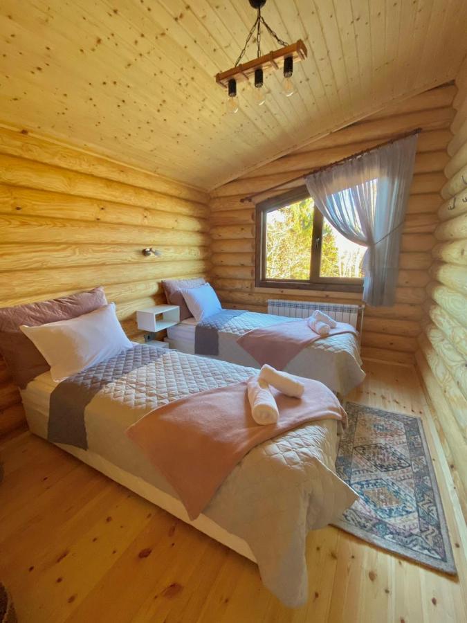 Вила Брезите Pamporovo Bagian luar foto