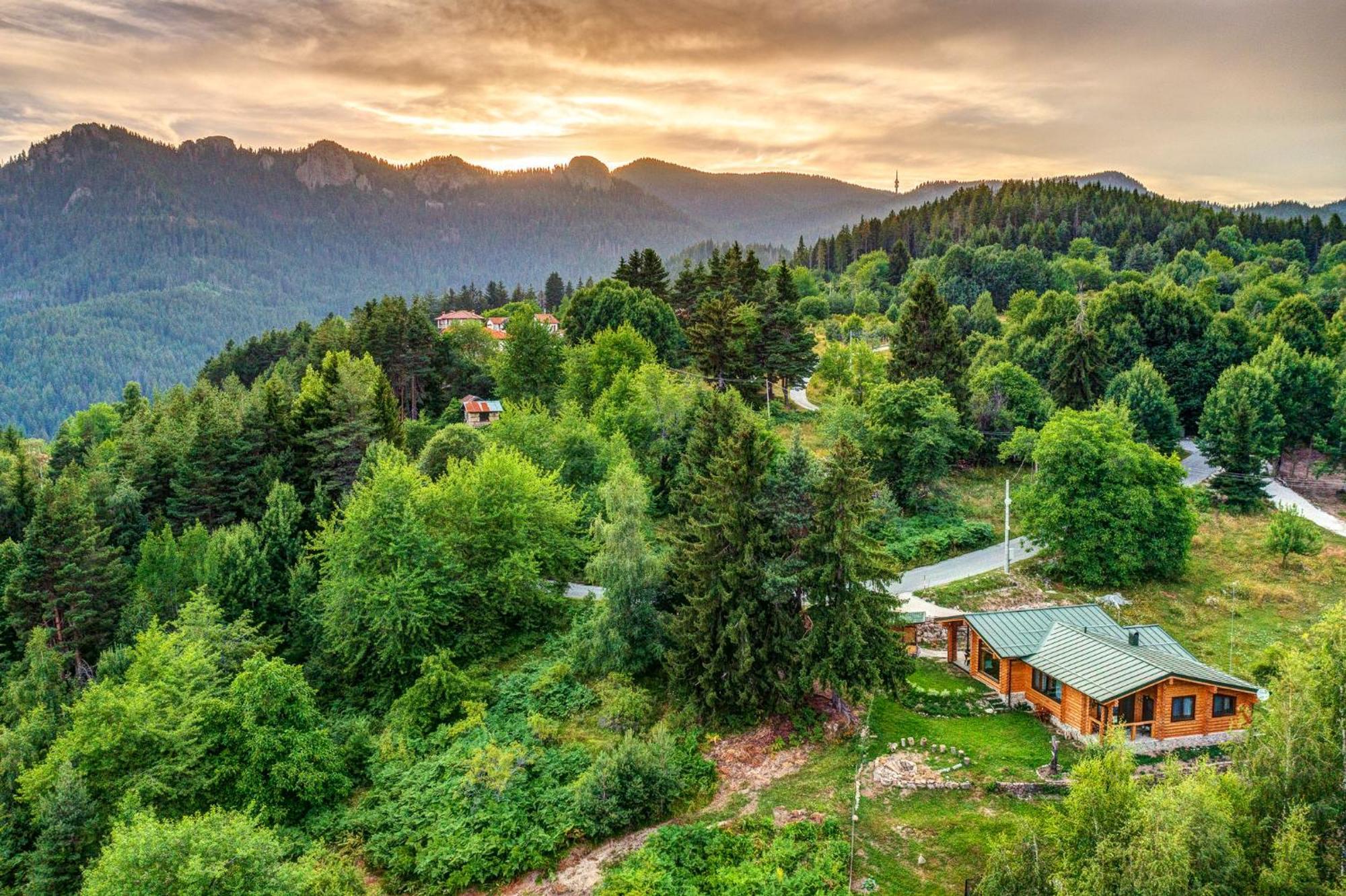 Вила Брезите Pamporovo Bagian luar foto