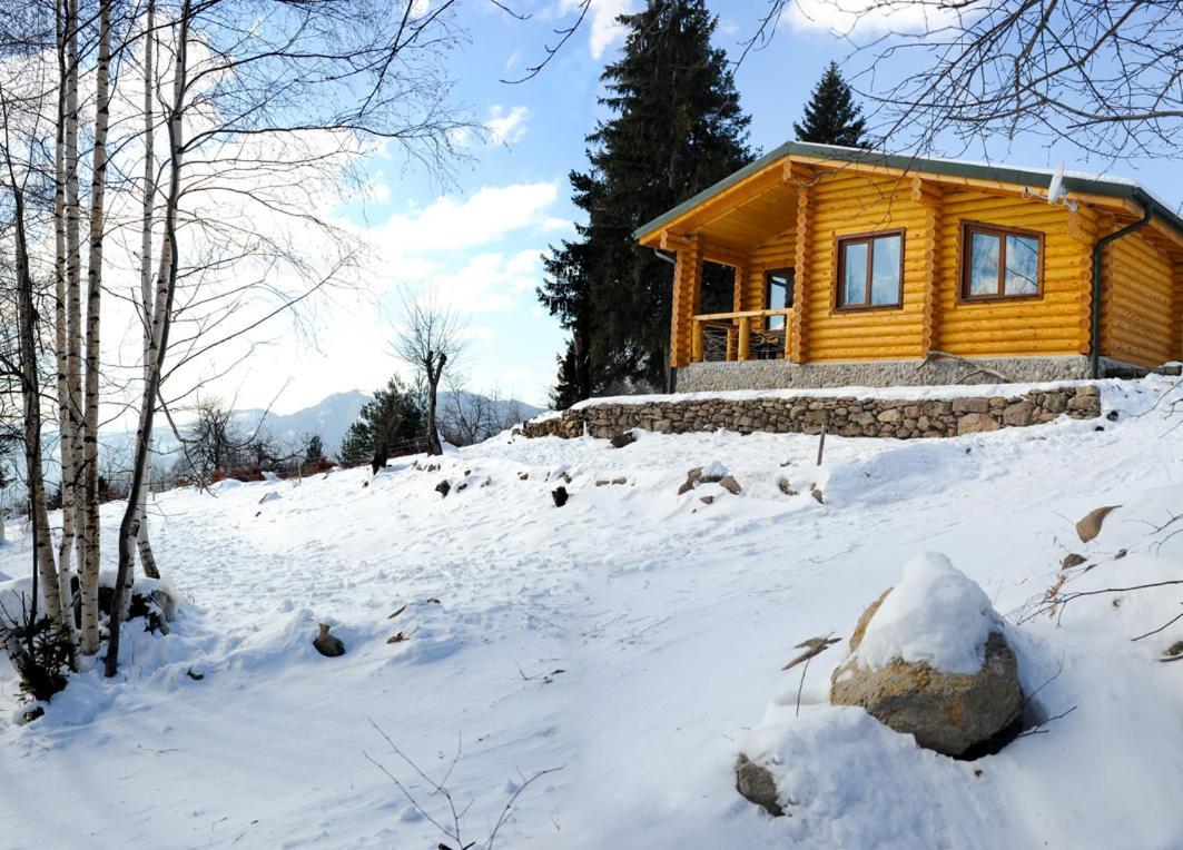 Вила Брезите Pamporovo Bagian luar foto
