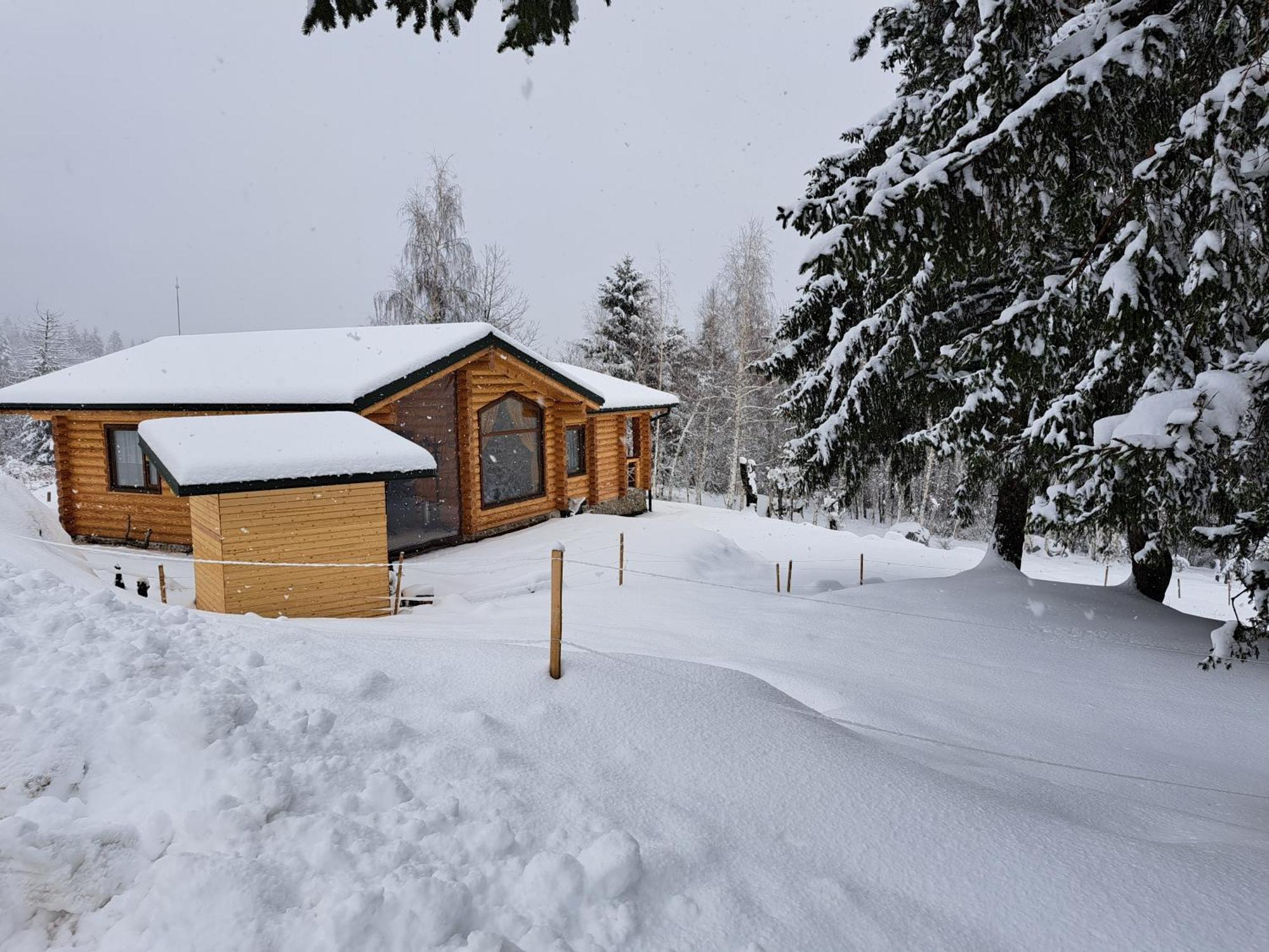 Вила Брезите Pamporovo Bagian luar foto