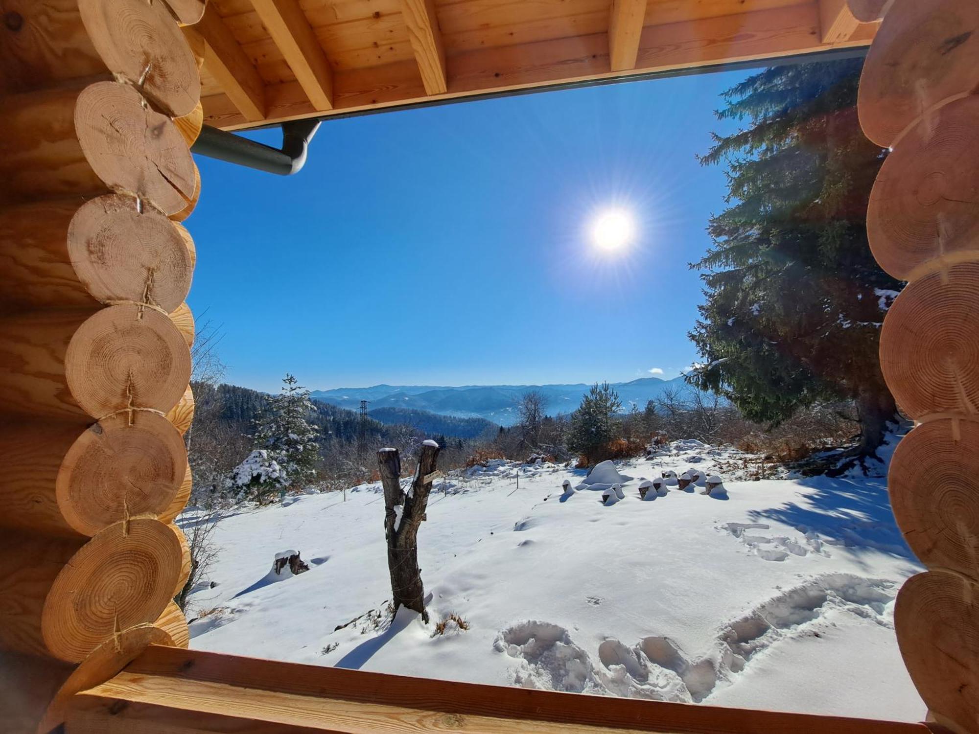 Вила Брезите Pamporovo Bagian luar foto